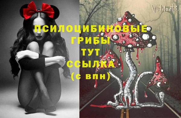 прущие крисы Новокубанск
