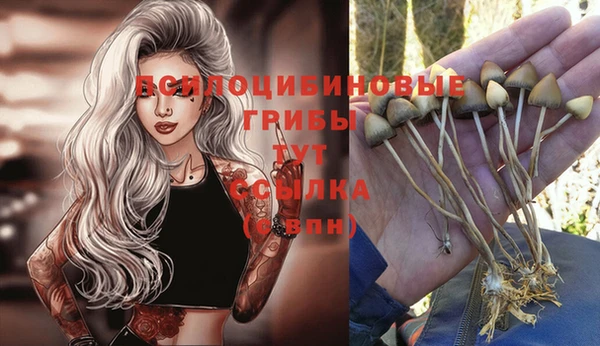 каннабис Новодвинск