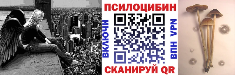 Галлюциногенные грибы Cubensis  МЕГА онион  Ревда 
