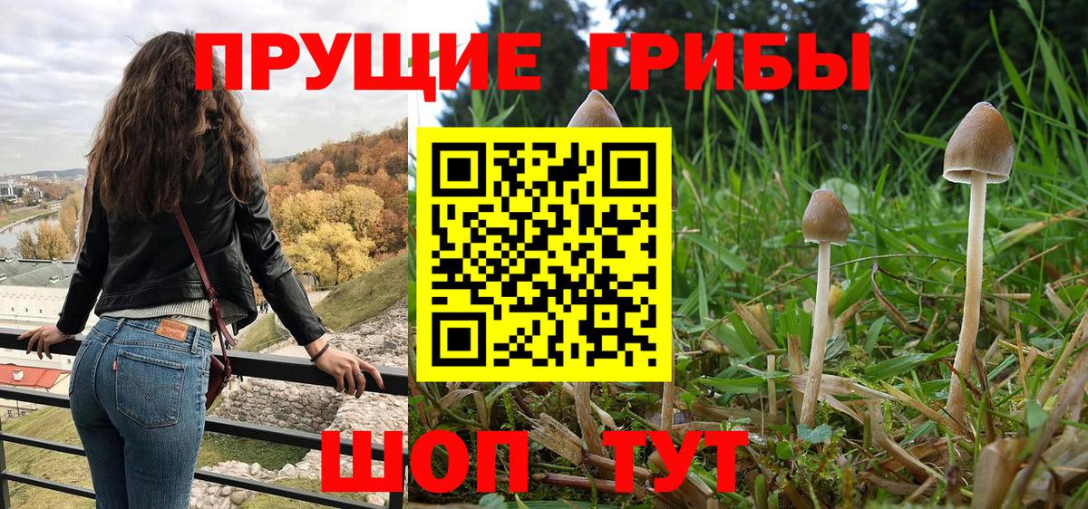 Ревда  Галлюциногенные грибы Cubensis  Вход с VPN 